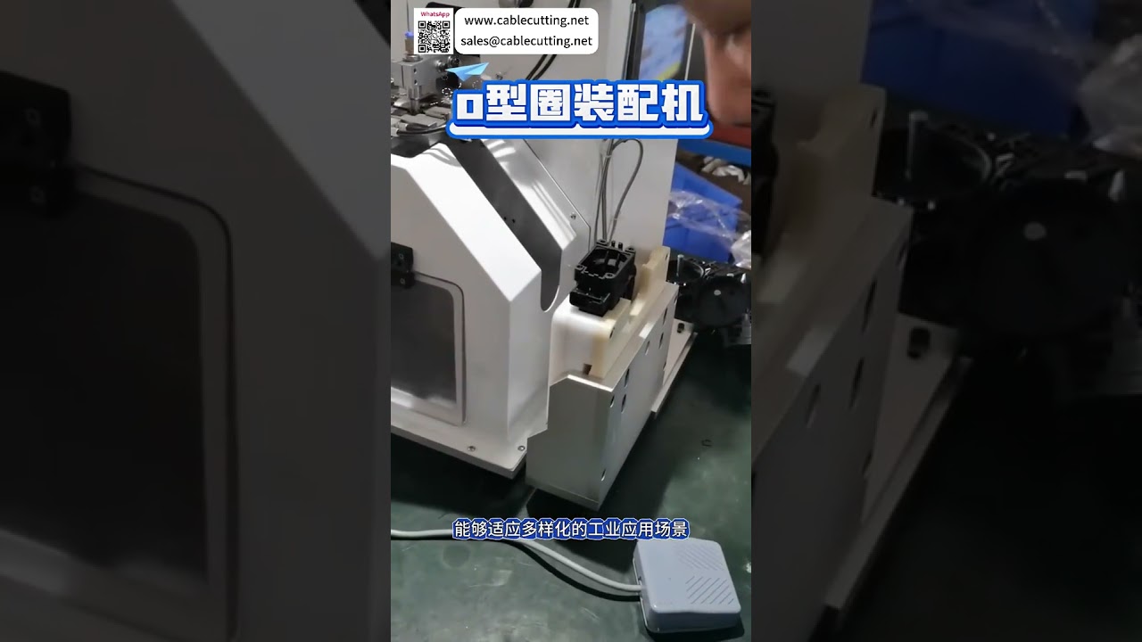 Professionelle Automontageausrüstung: Hochpräzise Industriemaschinen für die Fertigung