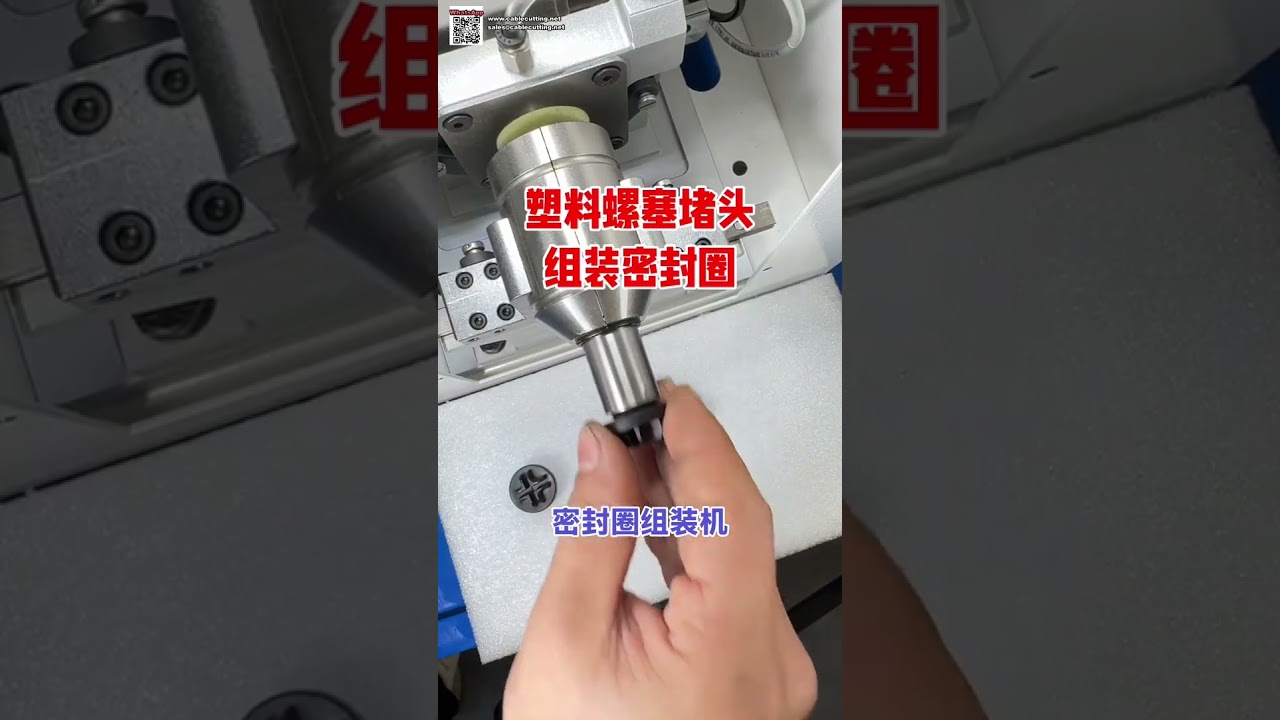 Automatische O-Ring-Montagemaschine direkt ab Werk – Kurzversion