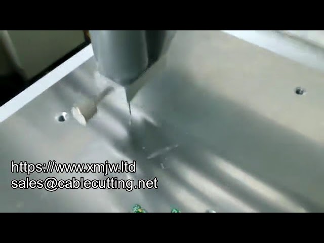 Präzise und effizient: Multifunktionale automatische Lotpasten-Dosierstation
