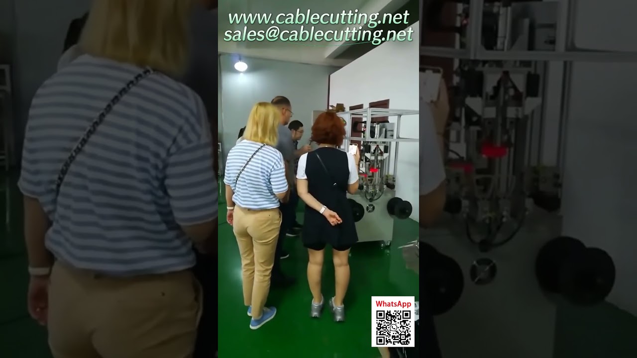 Werksabnahmetest (FAT) für Trimmer-Linien-Wickel- und Bindemaschine | Russischer Kunde