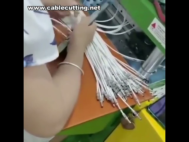 Präzise Kabel-Spritzgießmaschine für Datenkabel & Kabelkonfektionierung