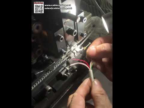 Schnelle & präzise Einzelader-Abisolier- und Crimpmaschine für saubere Kabelbaumproduktion