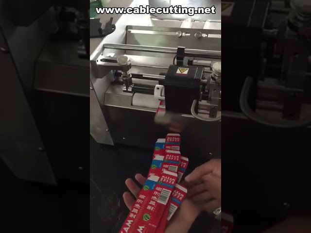 Festtinten-Datierungscodierer | Datumsdrucker für Verpackungen