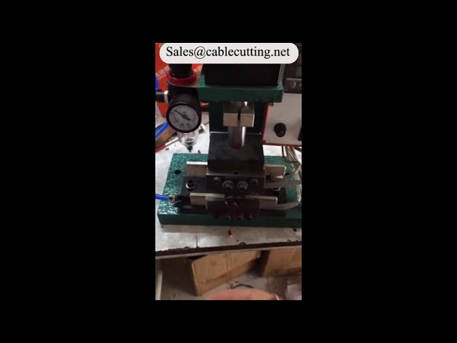 Elektrische Heißabisolier-Maschine WPM-2015 – Präzise Kabelverarbeitung für die Automatisierung