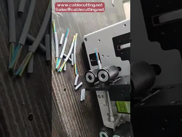 16mm² Kabelabisolier- und Schneidemaschine – Automatisch & Präzise für Ihre Produktion